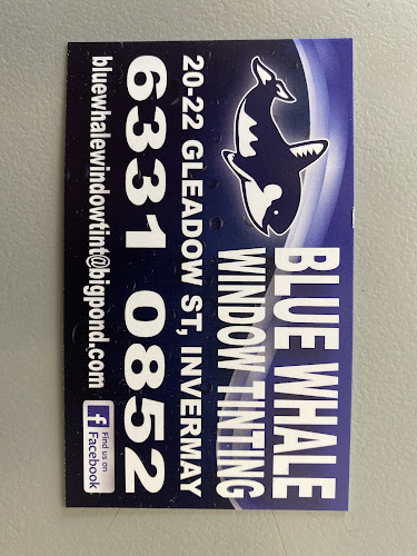 Blue Whale Window Tinting in Invermay