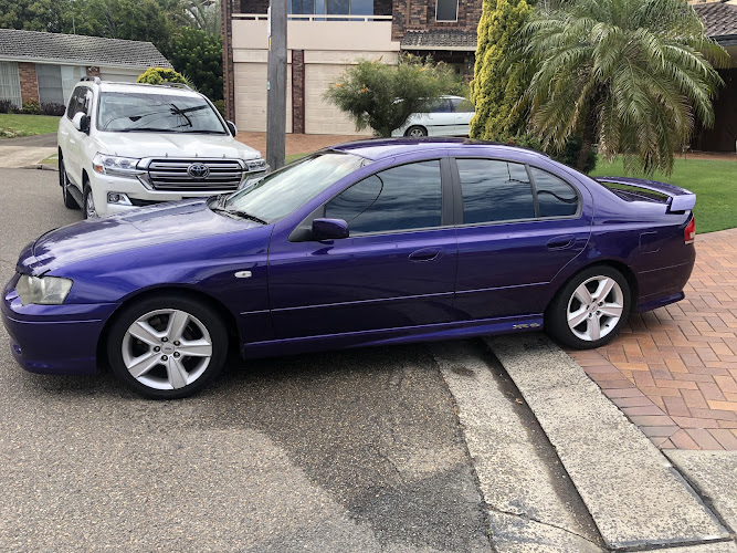Bob the Tinter in Picnic Point