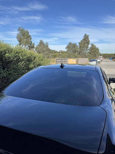 Samee Tint in Clyde