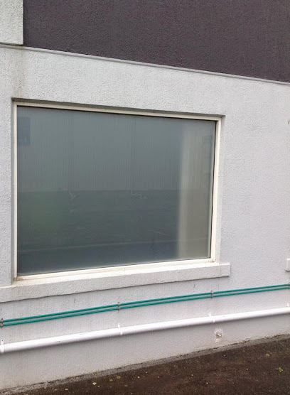 Tint Your House in Launceston